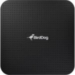 BirdDog-PLAY.jpg