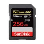 SanDisk-SD-Extreme-Pro-256GB-2.jpg